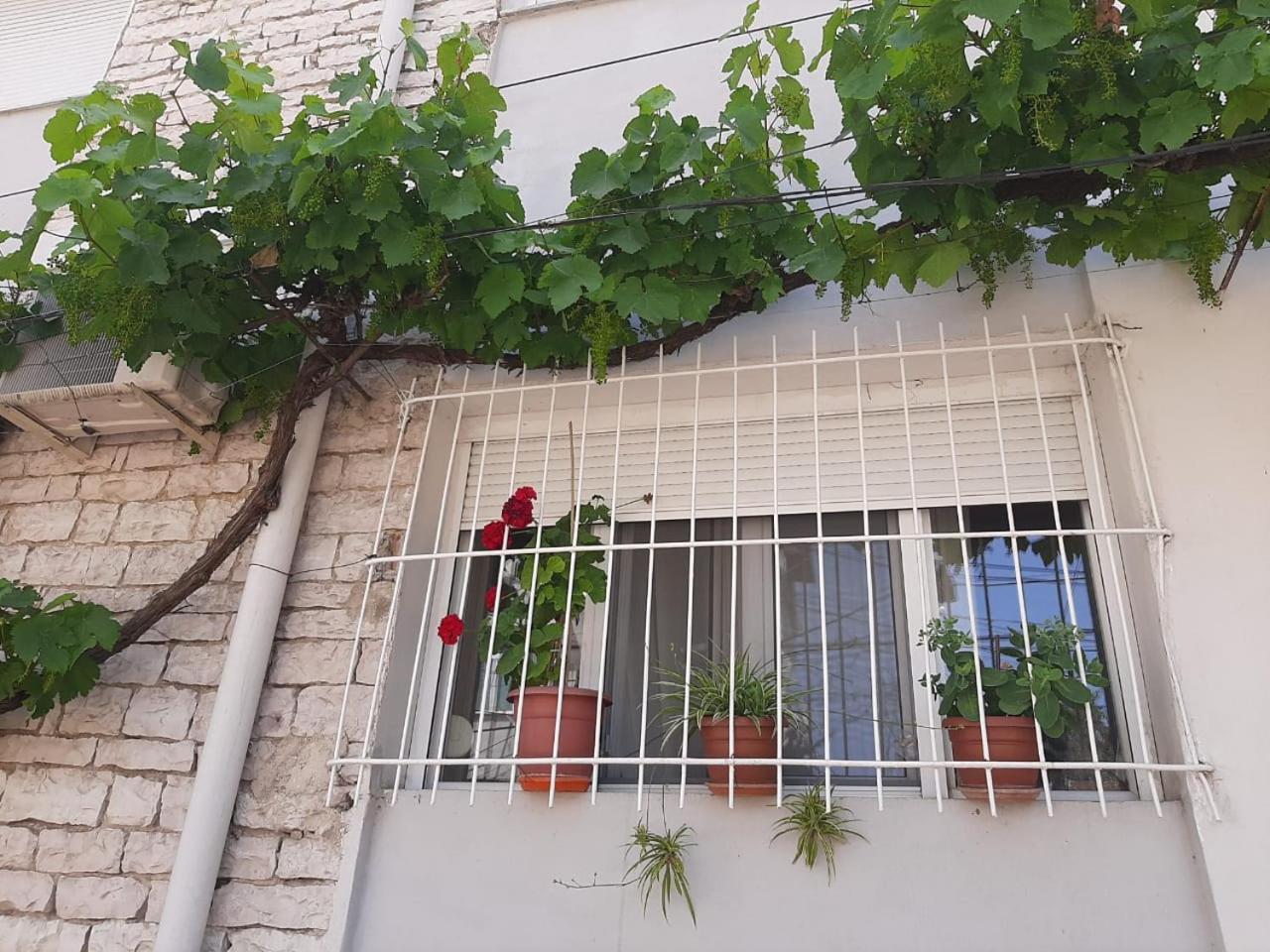 Sofia'S Modern Apartment Gjirokaster Ngoại thất bức ảnh